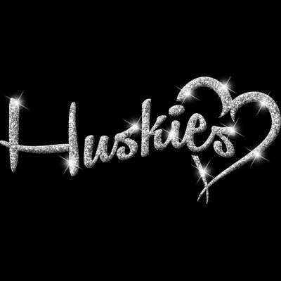 GLT6   SILVER GLITTER Thumbnail